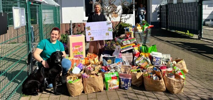 WhatsApp Bild 2024-04-06 um 22.01.00_e71a01cd_inPixio