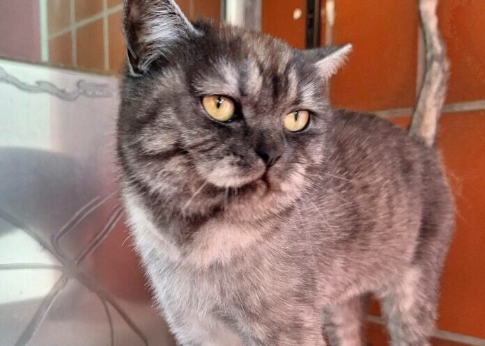 WhatsApp-Image-2024-03-31-at-10.42.05-7_inPixio