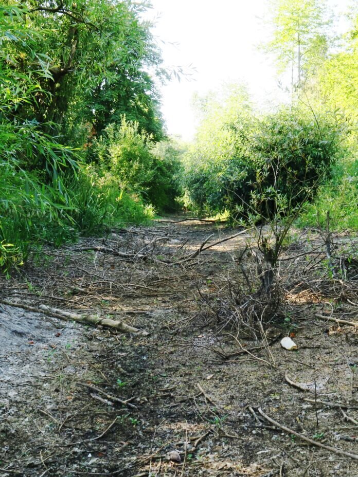 2022-Riedgraben-IMG_0109