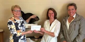 Spende für Katzenschutzverein ” Katzenreich e.V. “