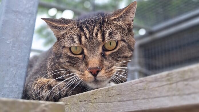 20240610_145329_inPixio