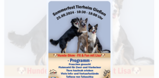 Großes Sommerfest 2024 im Tierheim Gießen