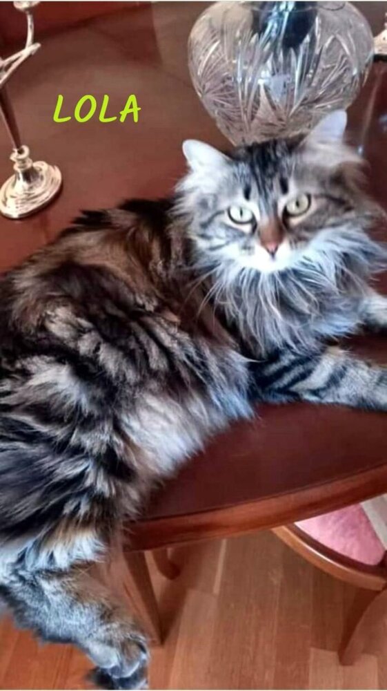 WhatsApp Image 2024-04-12 at 09.11.02-2