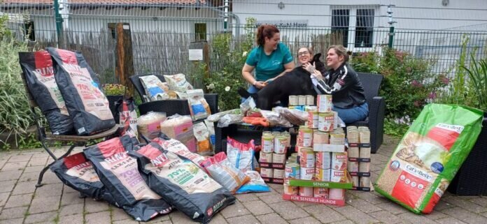 ab6dc897-9e7e-494c-af4c-652c081e2109