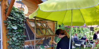 Wieder ein erfolgreiches Sommerfest des Katzenreich e.V. Heuchelheim