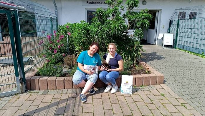 5c839f35-3bda-4448-a88c-bd26863643ee_inPixio