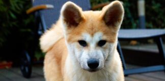 Offen und aufgeweckt – ZEUS –