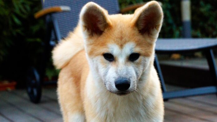 DSC08019-scaled_inPixio