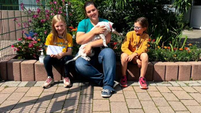 WhatsApp Bild 2024-07-22 um 13.04.19_806fa107_inPixio