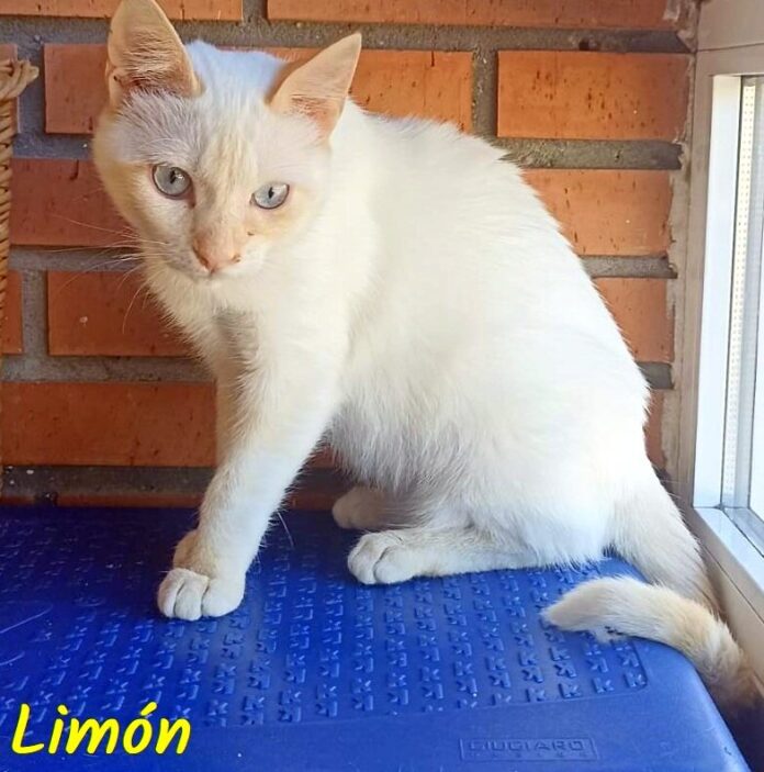 WhatsApp Image 2024-06-17 at 21.53.12 (1)