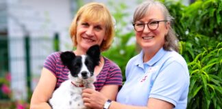 800,- Euro für das Tierheim Gießen