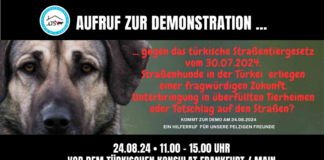 Aufruf zur Demonstration!