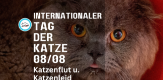 TAG DER KATZE