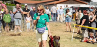 Tierheim Gießen feiert erfolgreiches Sommerfest 2024