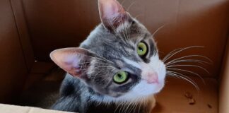 Glück gehabt – BONES – VERMITTELT