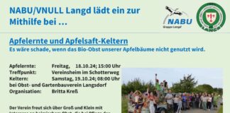 Apfelernte und Saftkeltern