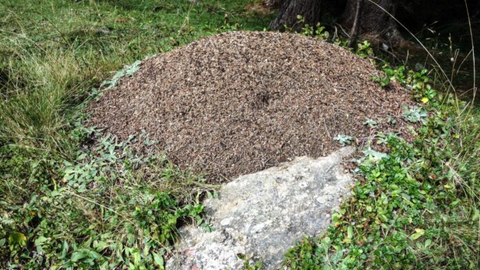 DSC05859_bearbeitet-1