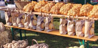 “Naturmarkt – gutes aus der Region” in Münzenberg, ein großer Besuchermagnet