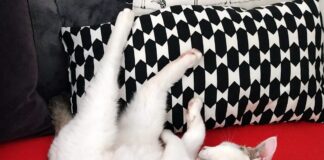 Und wieder ein dringender Notfall!