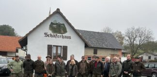 Neun Hundegespanne stellten sich einer Prüfung