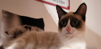 Vom Angsthäschen zum “Spitzbub”! Zuhause gefunden!