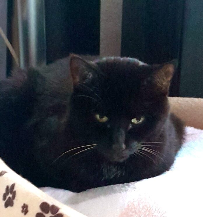 76ef3f20-dcf7-46a6-bb46-43e5bf9f5c90