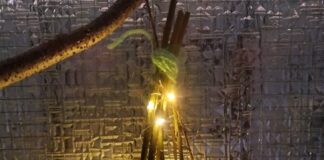 Lichterfest bei den Rotkehlchen der Waldkita Albach