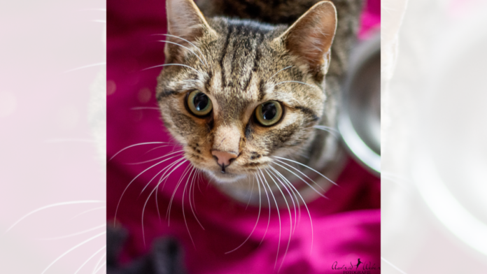 Design ohne Titel (1)