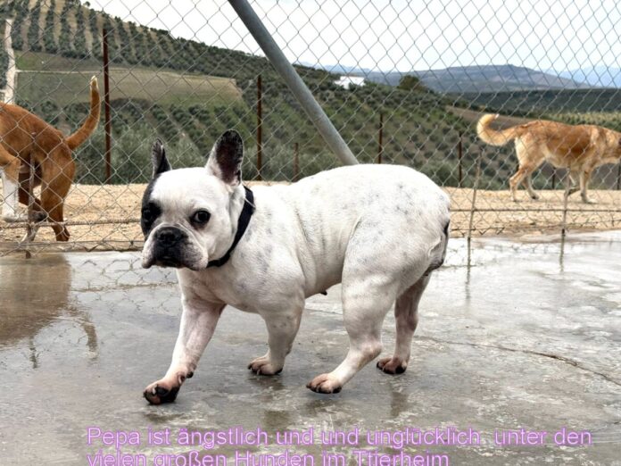 0ed44772-7e70-4712-87d2-5b56cb605a05