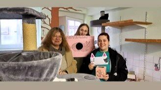 7c715cad-3e84-493b-a63d-fbcdf5e38706