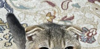 Was nützen Verbote und Verordnungen?