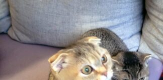 Unsere kleinen Fernsehstars!