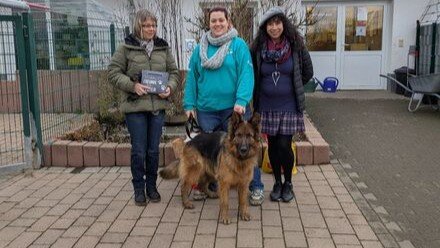 994bb5a0-19b2-4945-a9de-07e78136ef10