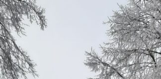 So schön ist’s im Hessenland