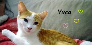 Eine Mädel Paar! Zuhause gefunden!