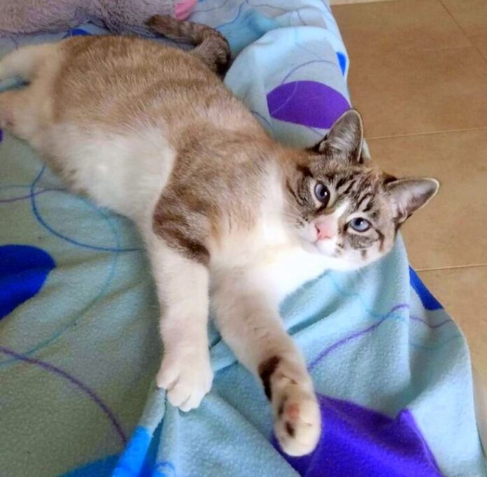 WhatsApp Image 2025-01-07 at 22.21.35