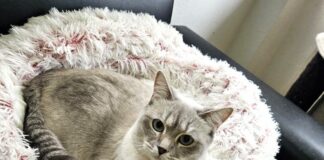 Einzelprinzessin Mia! Zuhause gefunden!