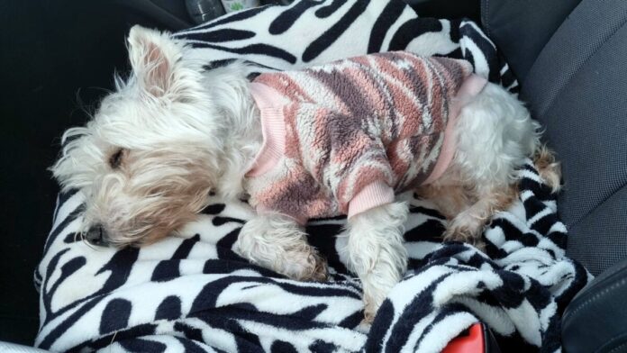 c91b9929-f7eb-4f05-8088-b21b363e1f5f