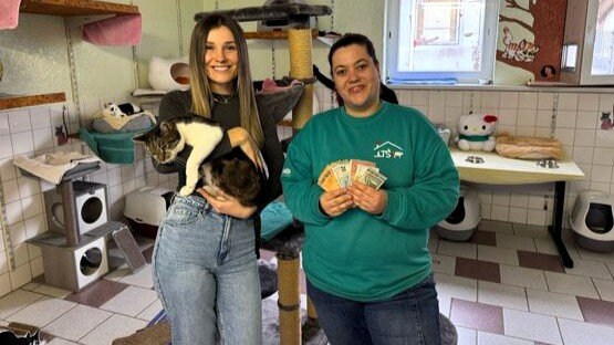 934b3736-9636-4e44-bea8-d66f4d432893