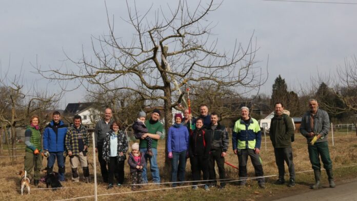 Baumschnitt 22.02.25 (3)