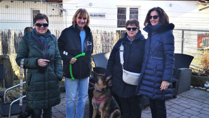 IMG_20250205_125439_resized_20250209_114557519