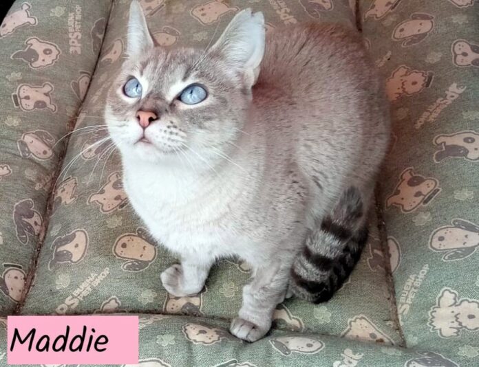 WhatsApp Image 2025-01-26 at 12.16.38 - Kopie