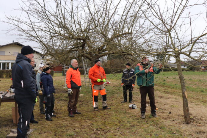 20250301-L0090007-Baumschnitt-Lehrgang OBKV Lardenbach KE