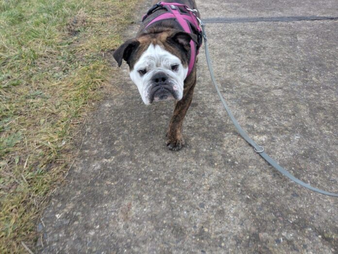 2025-04-06 Bild Kalle