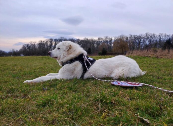 2025-04-06 Bild Titan