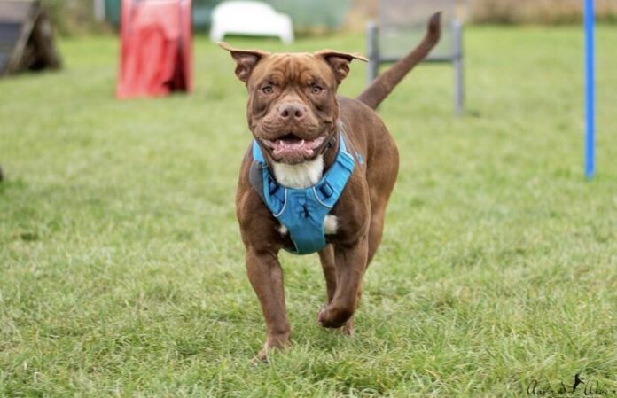 2025-04-08 Bild Chico