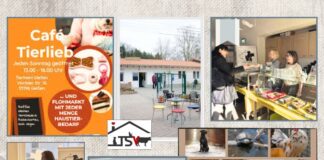 Sonntags tierisch guter Treffpunkt: Café Tierlieb & Flohmarkt im Tierheim Gießen!