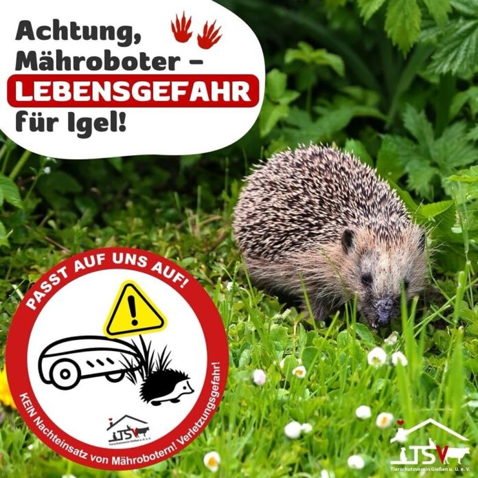 Bild Achtung Mähroboter Gefahr für Igel