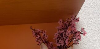 Freunde fürs Leben!