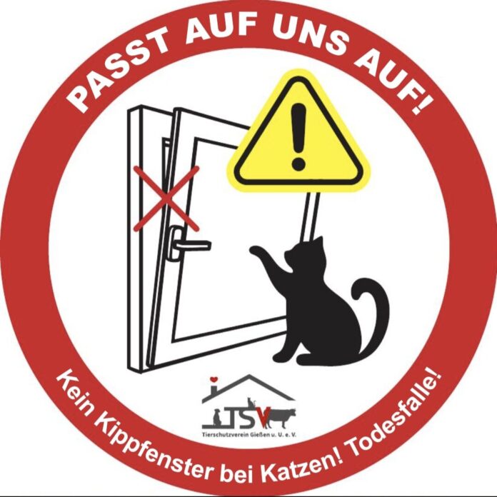 2025-03-31 Bild Warnhinweis Katzen